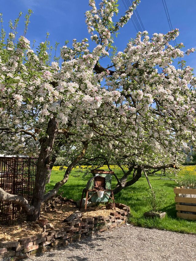 Frühling beim Steirer