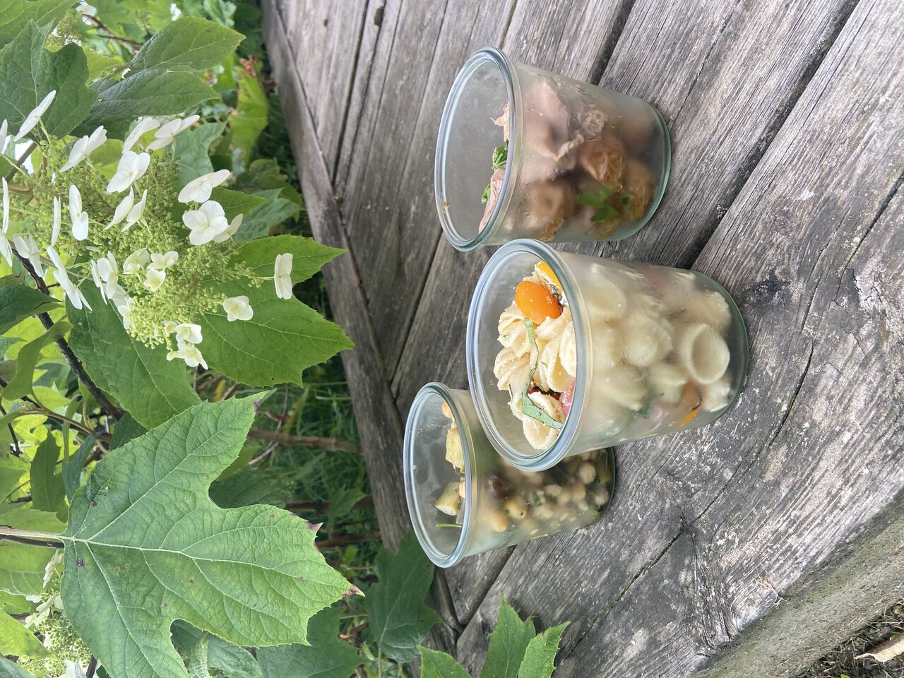 Oriechiette, tomate cerise, jambon, mozzarella, basilic. Dinde et Pomme grenaille. Salade de pois chiche à l’orientale