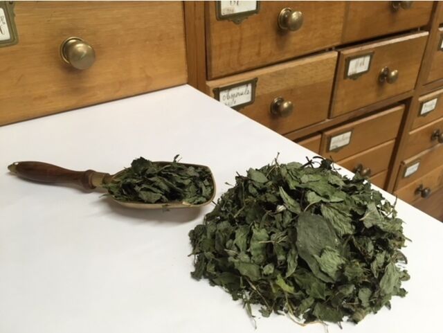 Menthe poivrée - 30gr - 2,50€