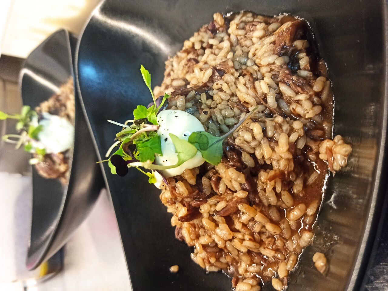 Arroces singulares
