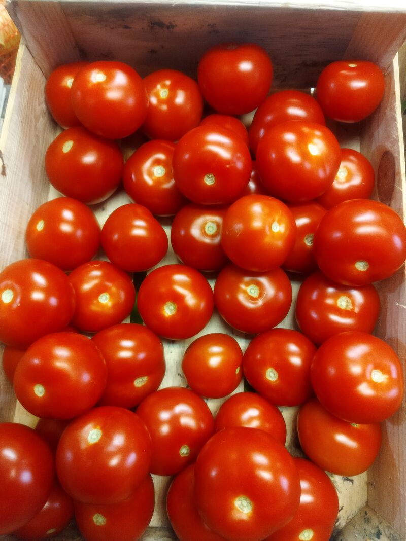 Tomates ronde 2.30€ kg