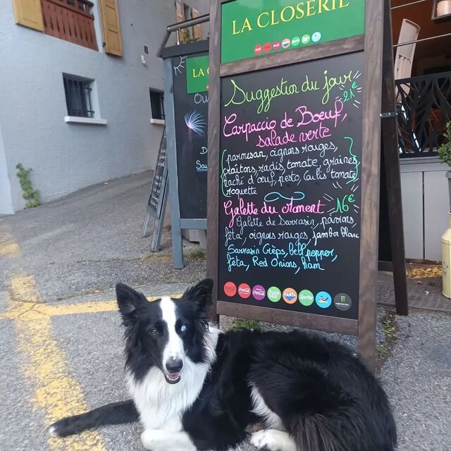 Bijou et les suggestions du Moment