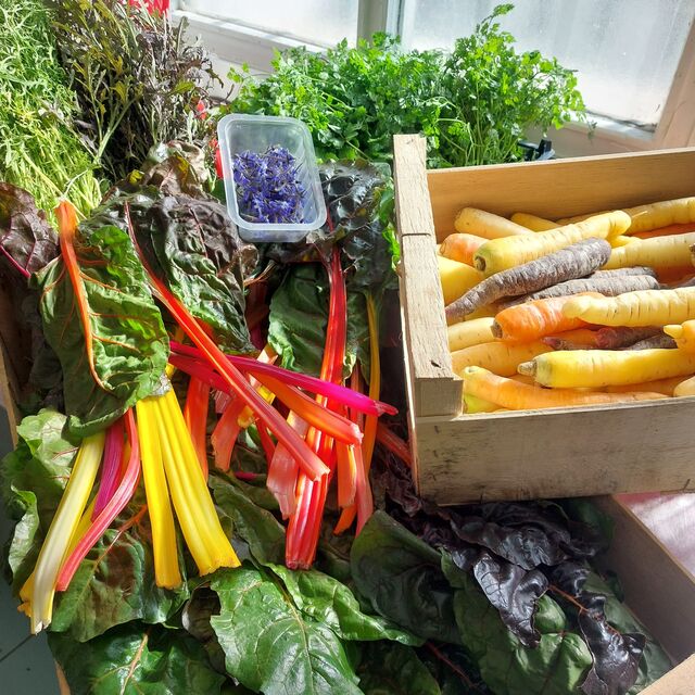 Arrivage de légumes