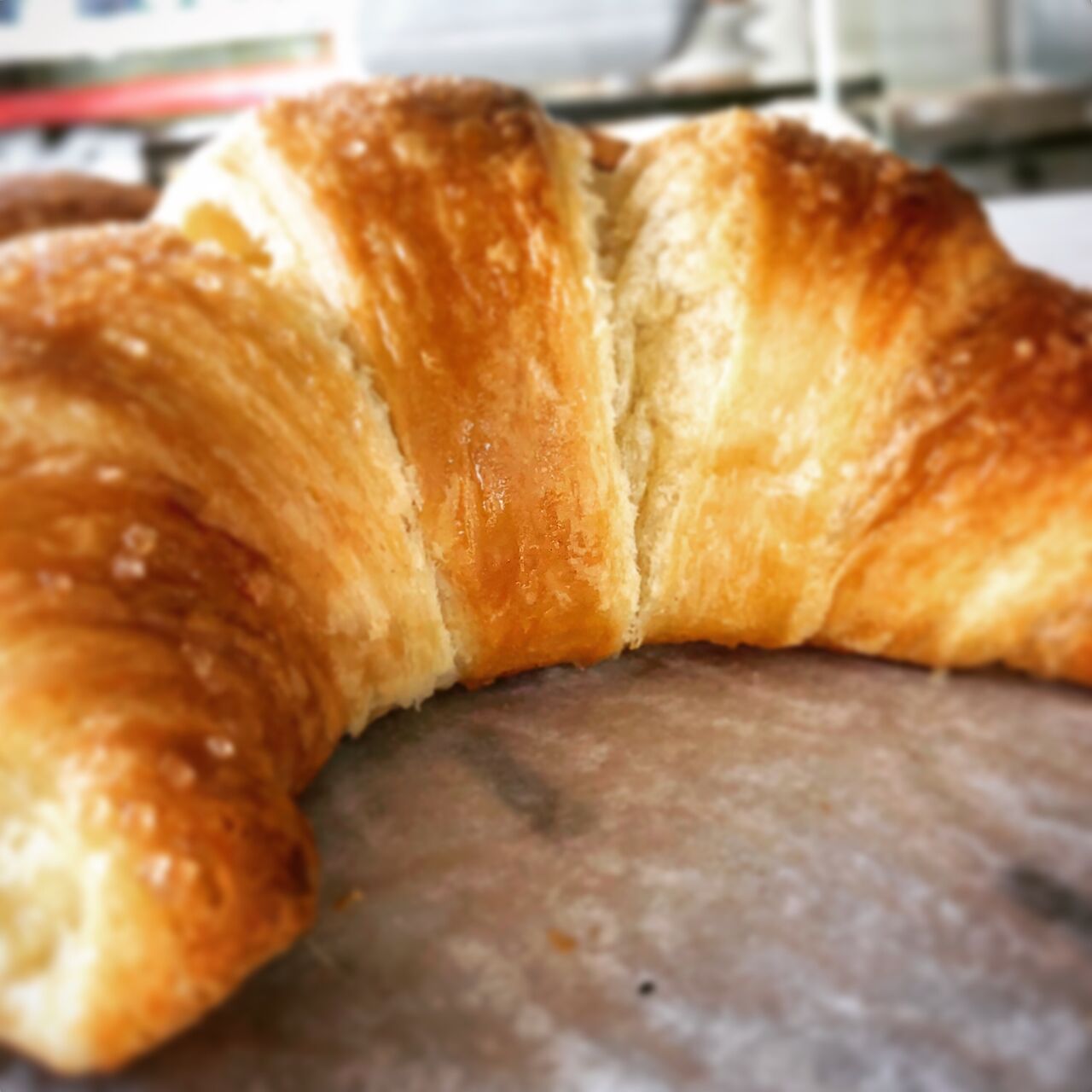 Briosce con marmellata di albicocche 