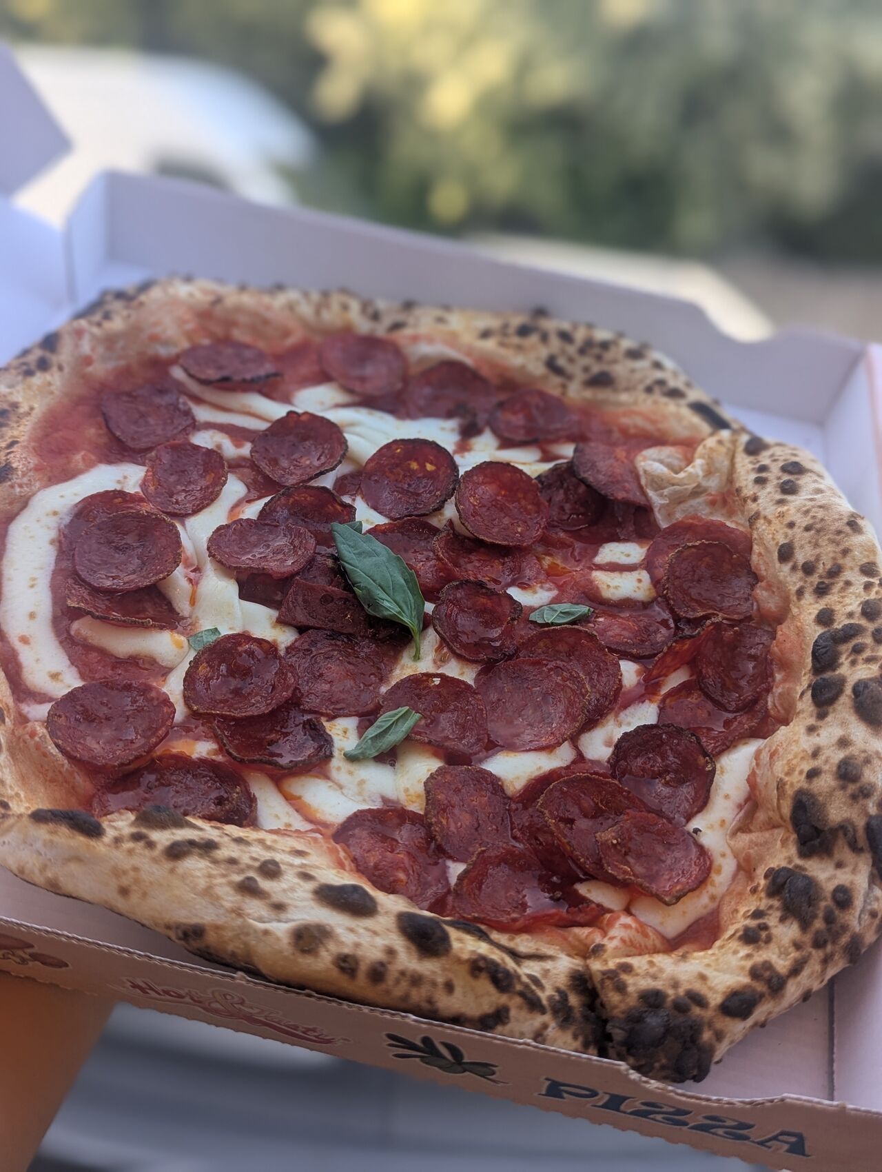 Pizza Diavola 