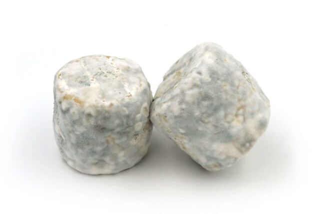 Cabrion Fermier chèvre - 100gr - 5,55€