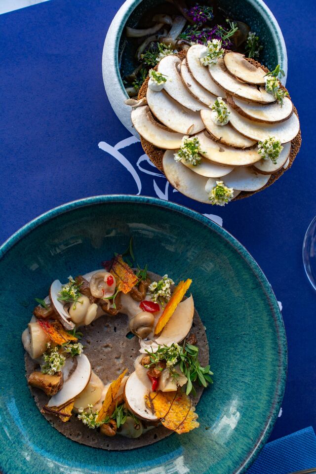 Galette de sarrasin, champignons et sauce aux cèpes