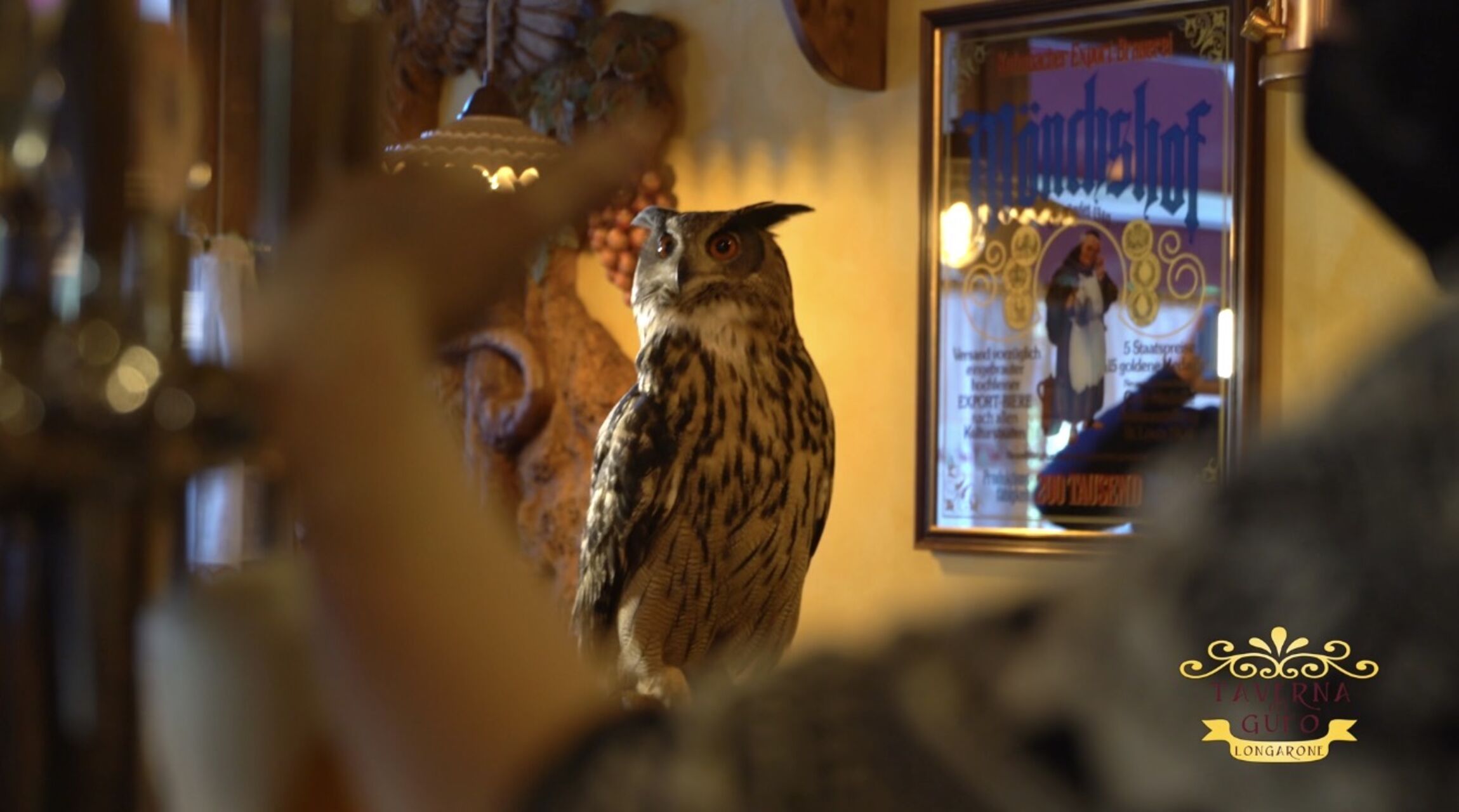 📜LA NOSTRA STORIA