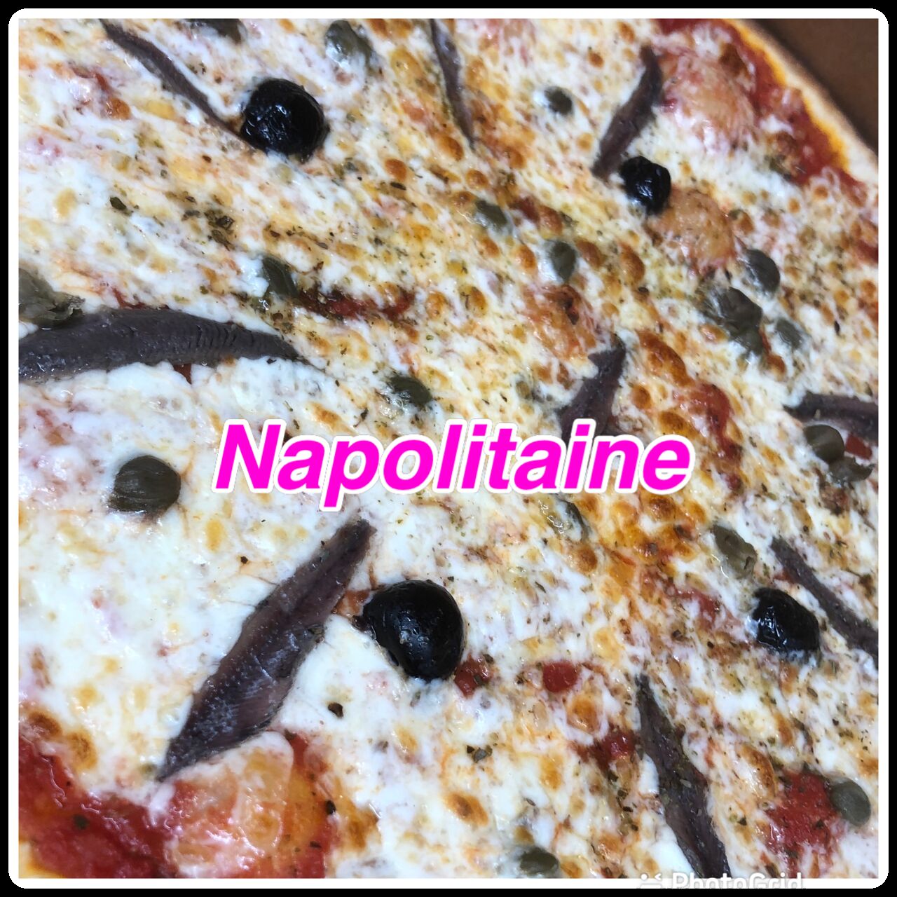 Napolitaine