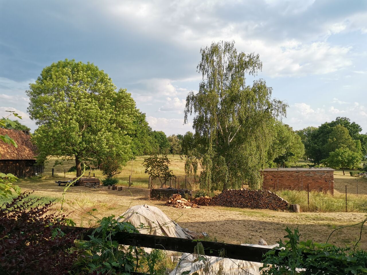 Blick in die Spreewaldwiesen