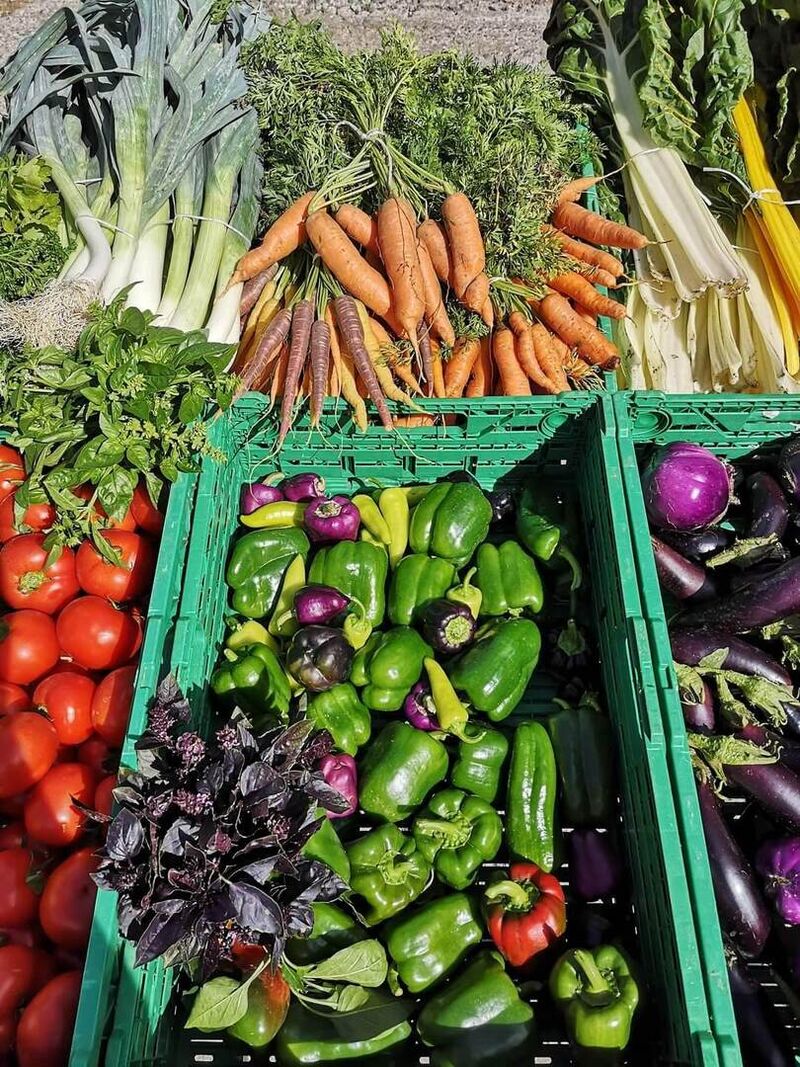 🥗 Légumes du maraichers