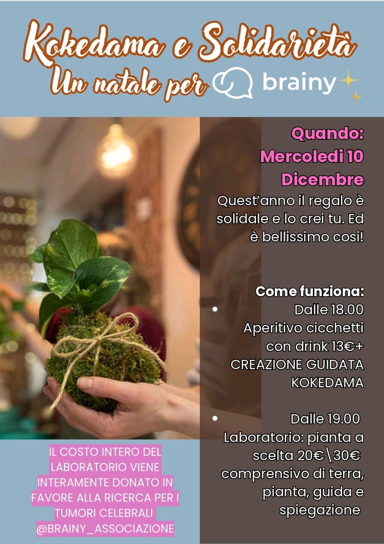 KOKEDAMA E SOLIDARIETA'