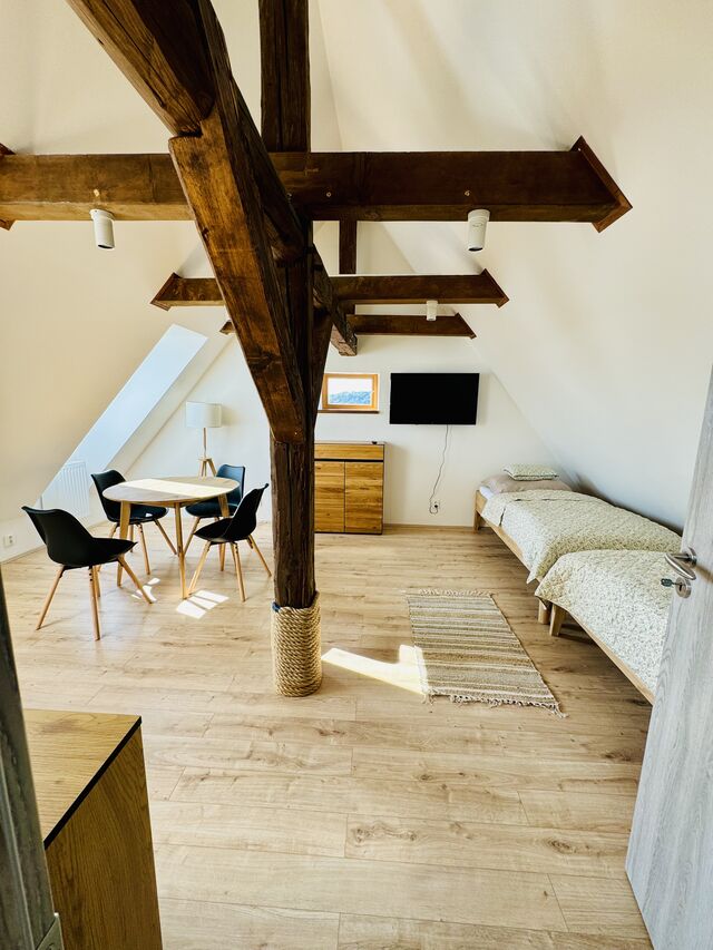 Obývák/ložnice č. 2