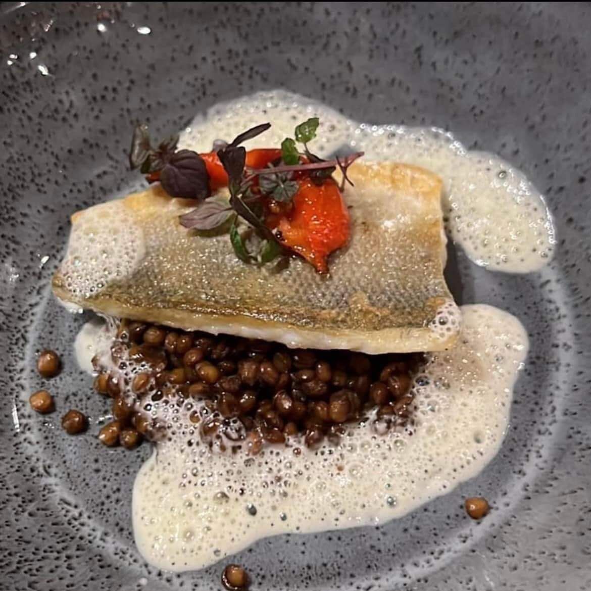 Zanderfilet / Belugalinsen / Trüffelschaum