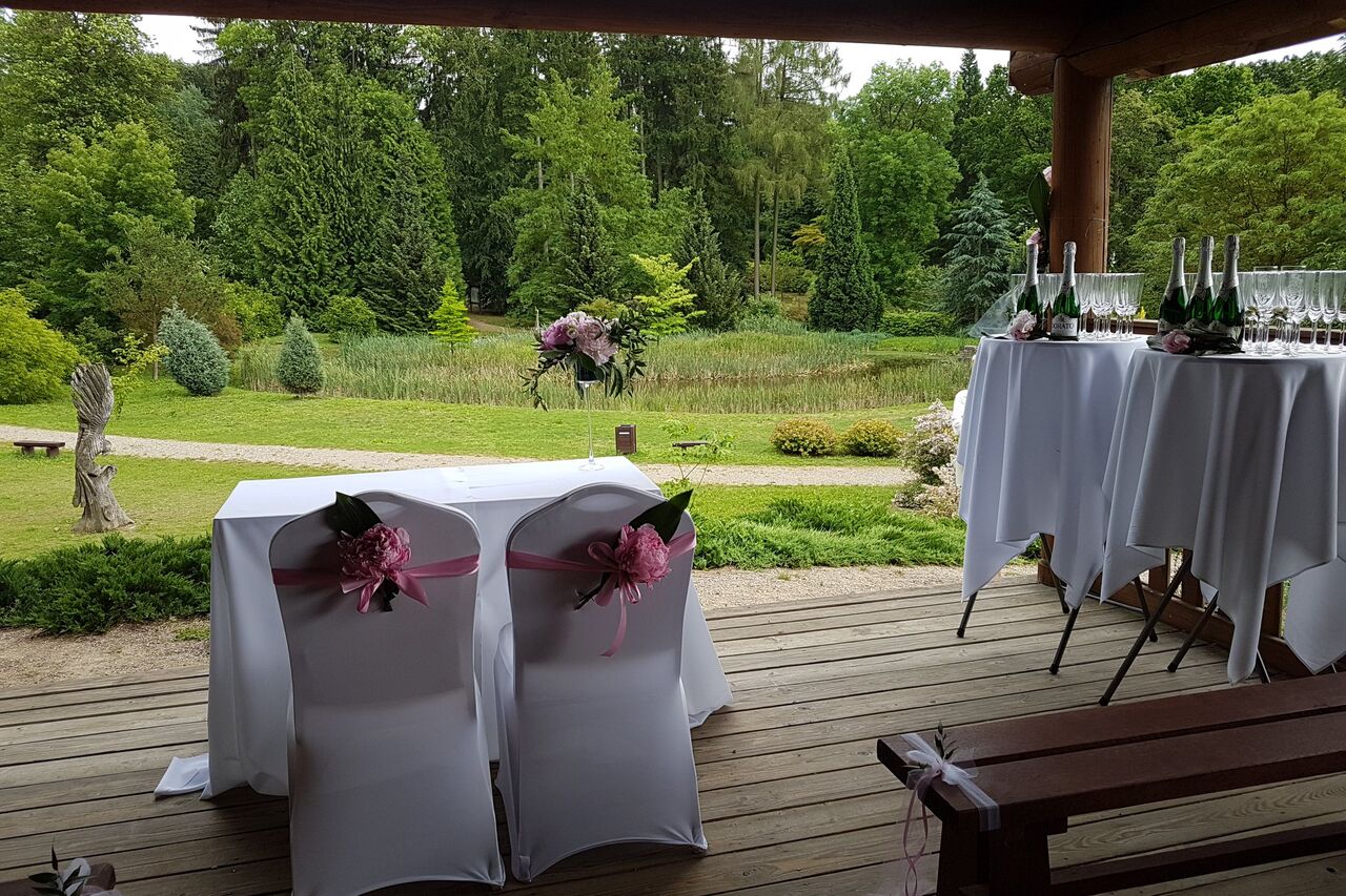 Malownicza okolica w sercu sosnowego parku