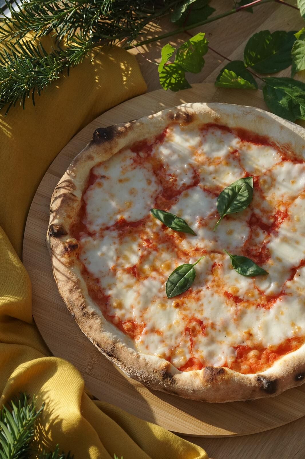 Pizza Margherita
