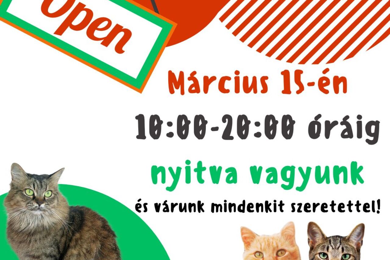 Tavaszi kávézás a MacskaBandával