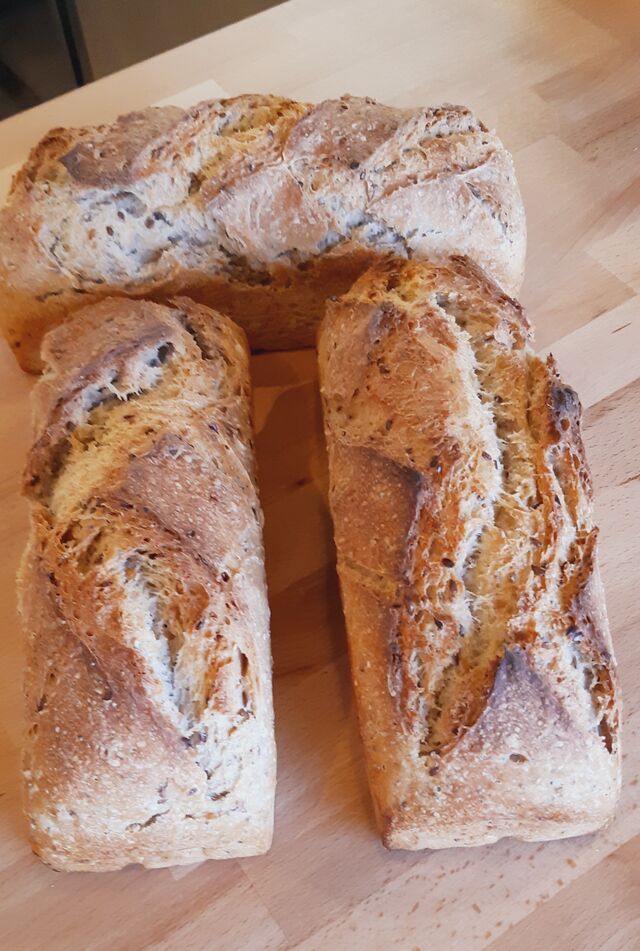Moulé Rustique aux graines