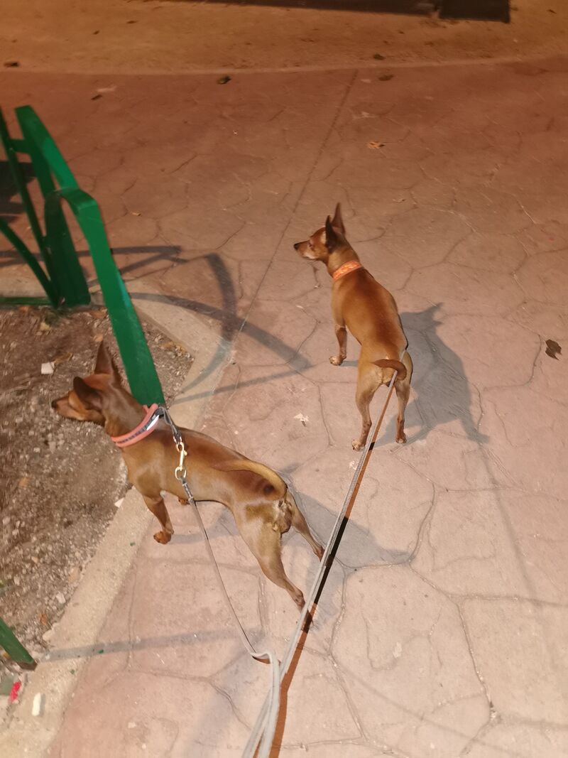 Ruru y Cyane 🐾🐾