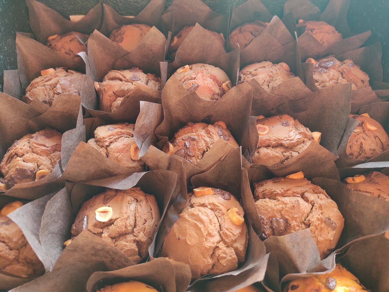 Muffins chocolat parliné