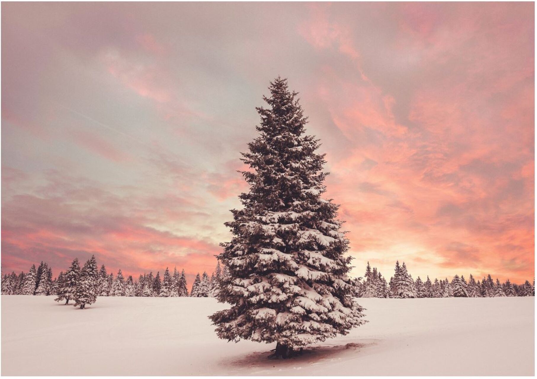 Weihnacht & Silvester