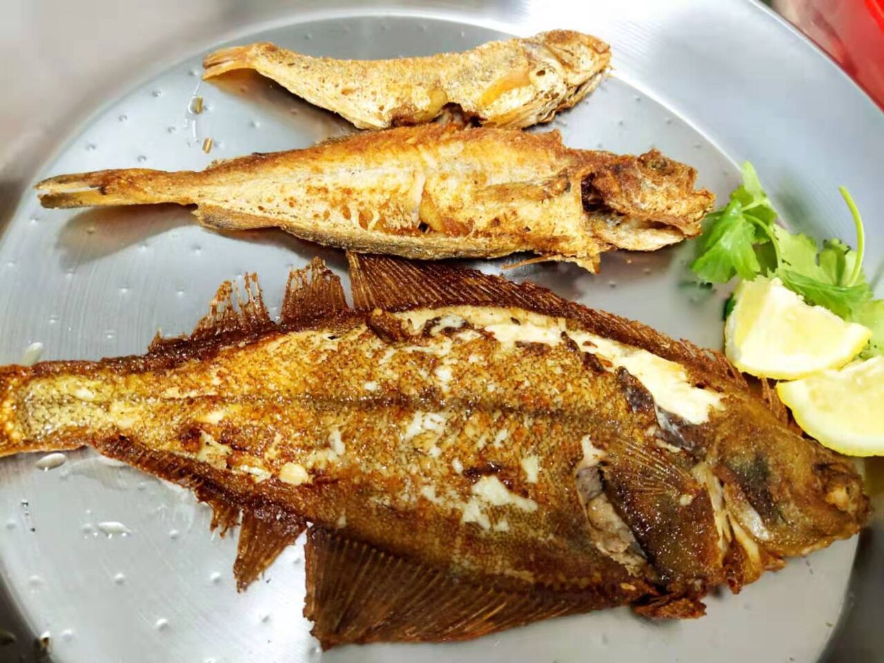 No.22 Knuspriger verschiedene Fische