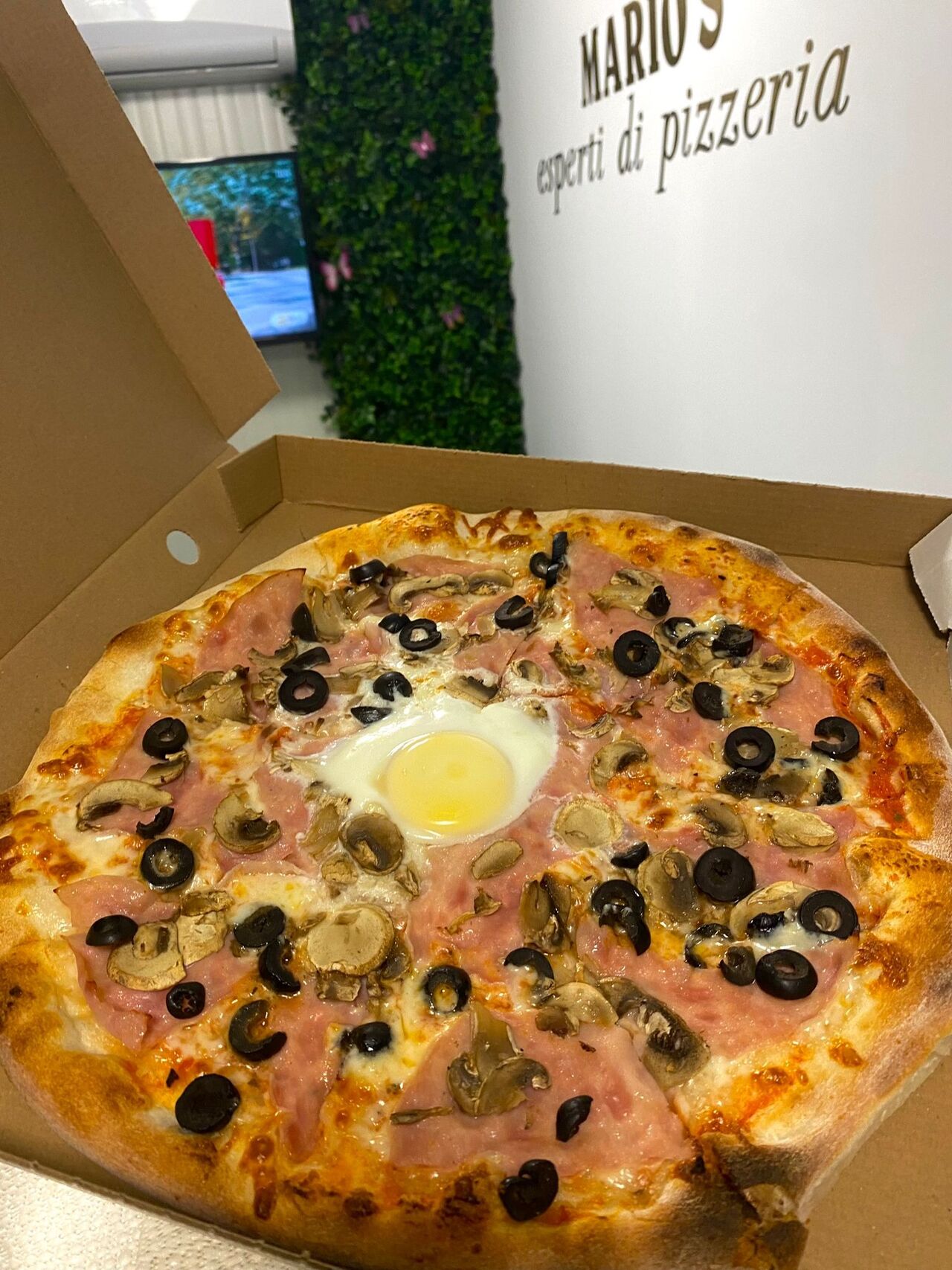 Pizza Capriciosa