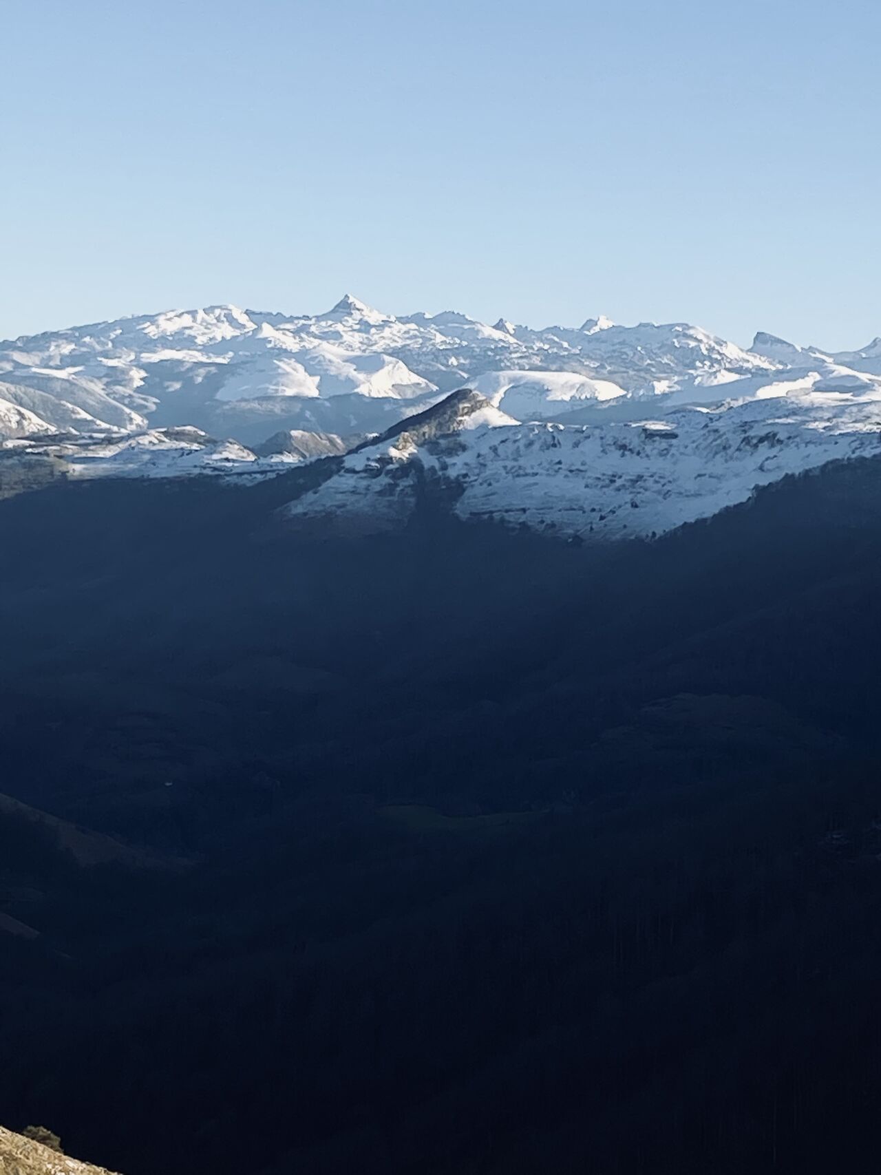 Vue depuis la terrasse 