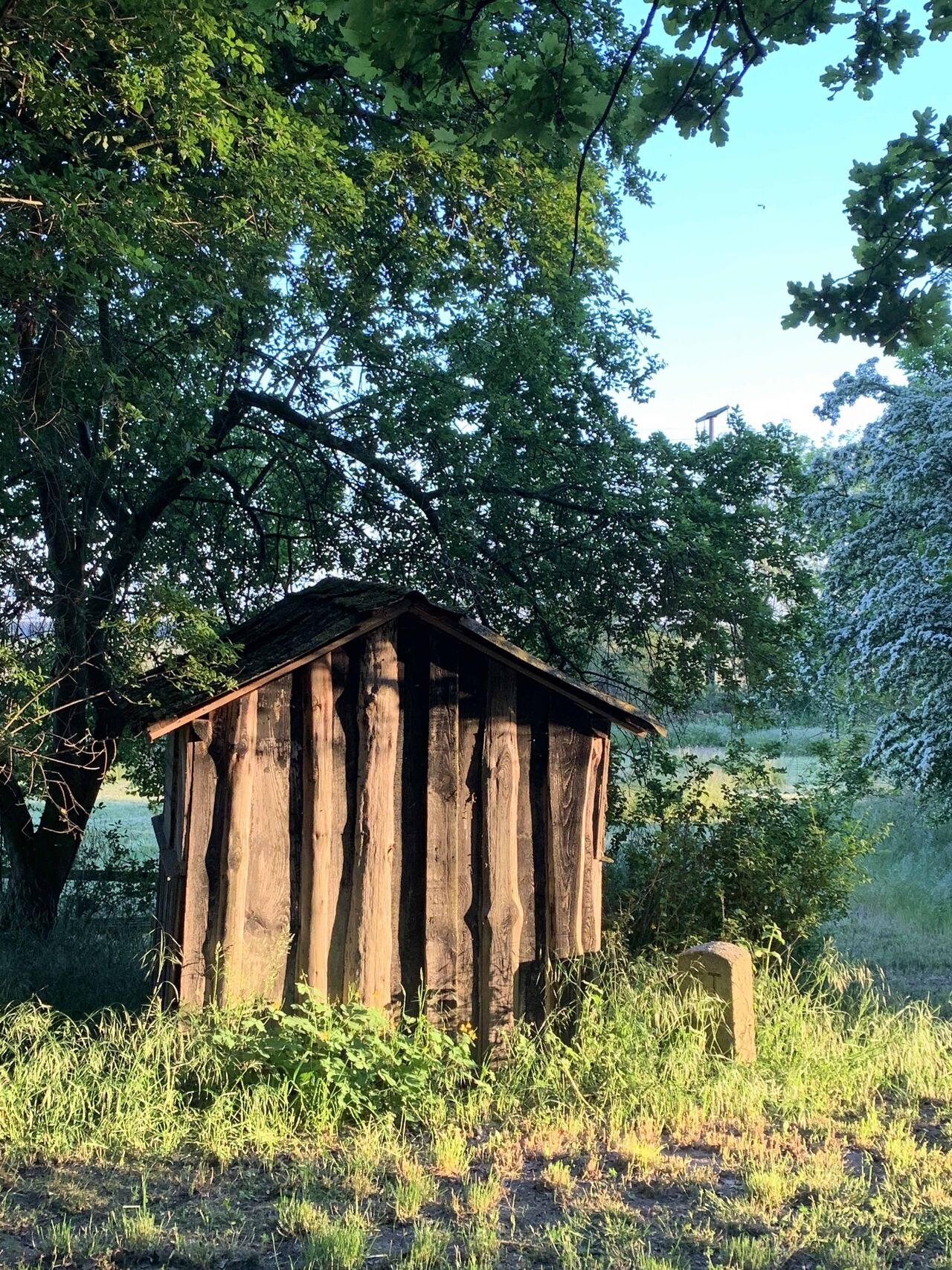 Südlicher Park - Holzhütte am ehemaligen Badeteich