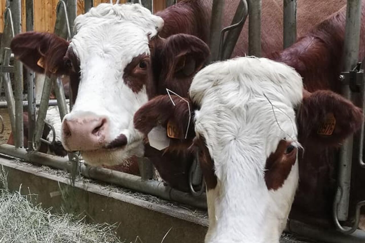Envoie de découvrir les produits du terroir ?