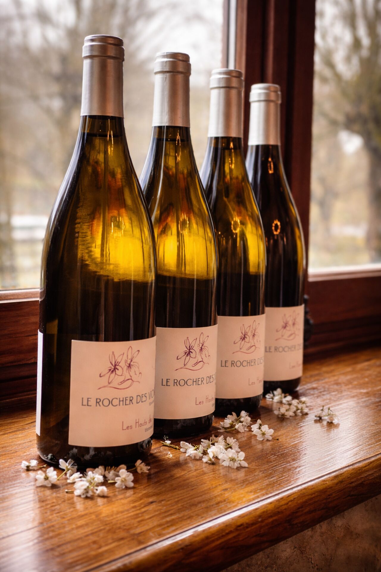 Notre carte des vins à découvrir