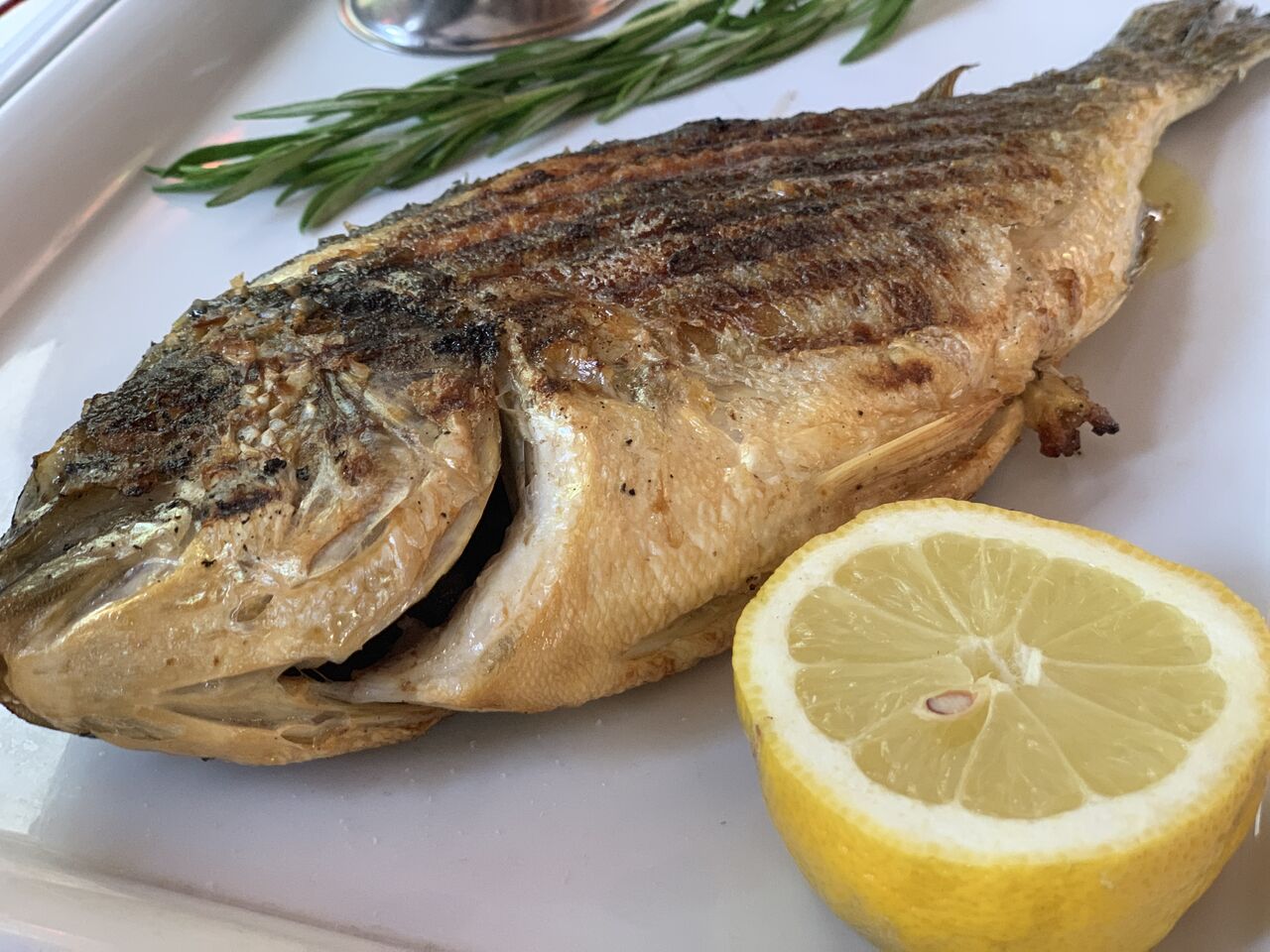 Dorade vom Grill
