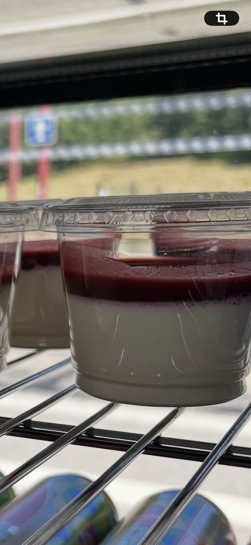 Panna cotta 
