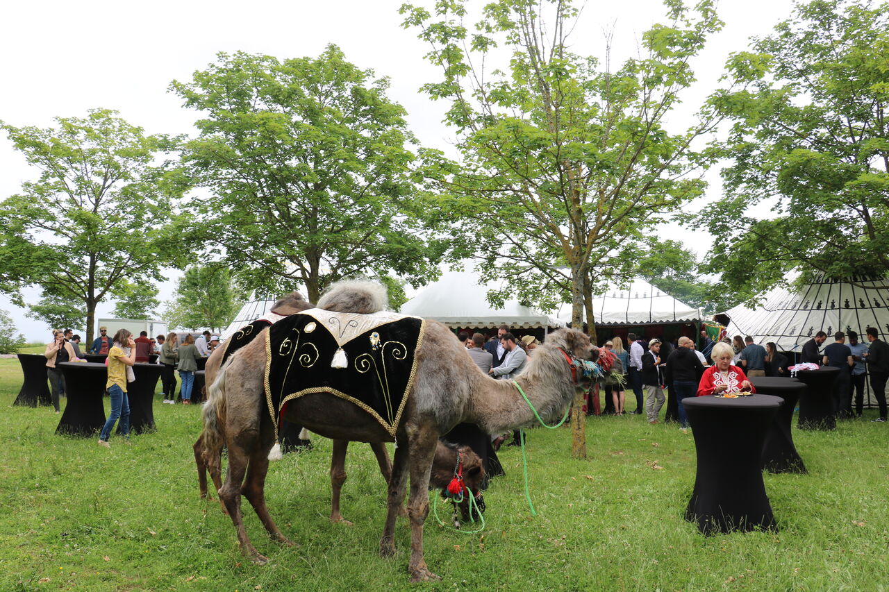 Organisation événementielle au futuroscope