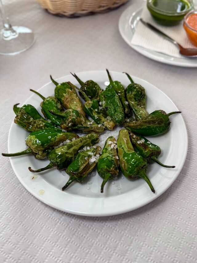 PIMIENTOS DE PADRÓN