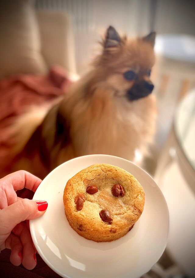 Cookie Cacahuète