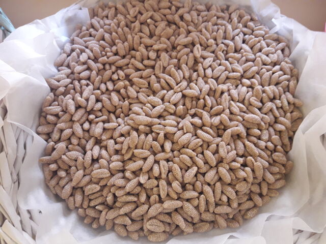 MALLOREDDUS CON SPINACI