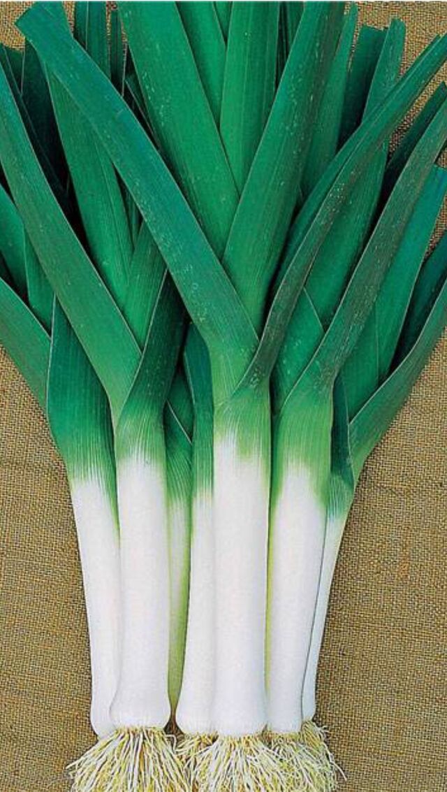 Poireaux - 2,14€/kg