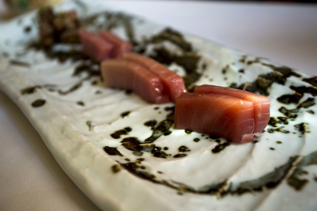 SASHIMI DE TORO, SHUTORO, ATÚN