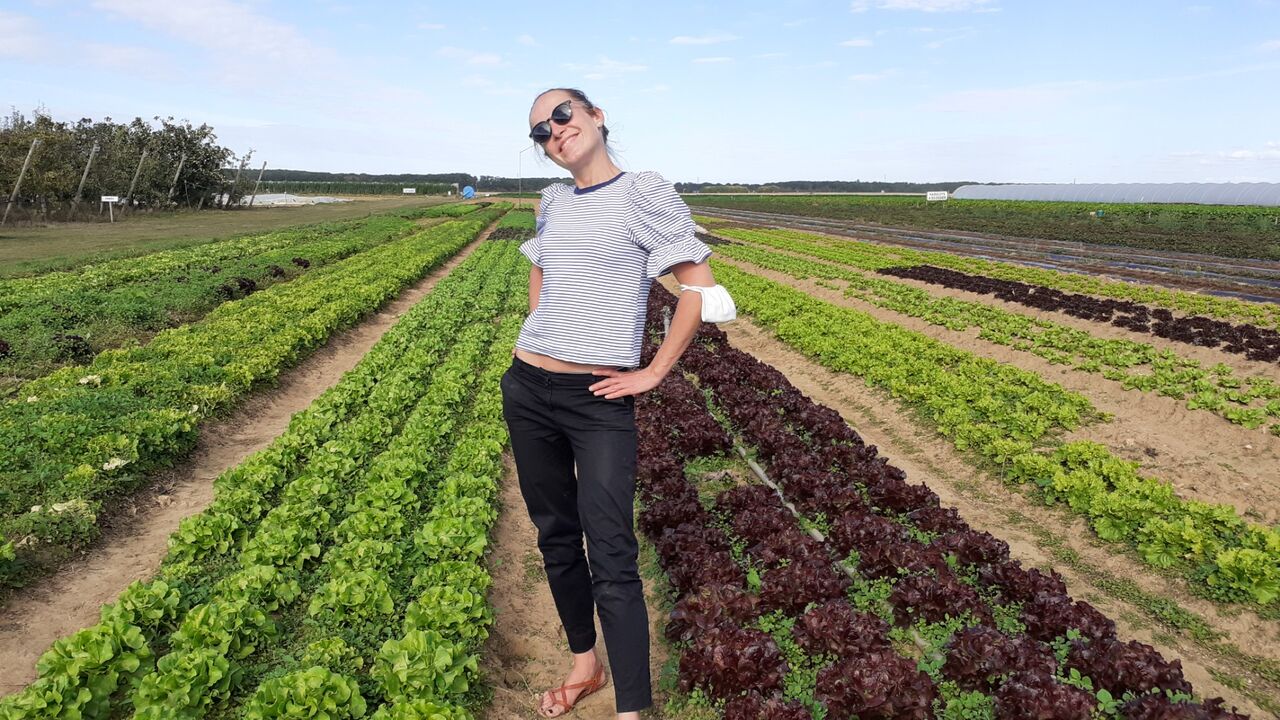 La working girl chez ses producteurs de légumes au Jardins d'Imbermais