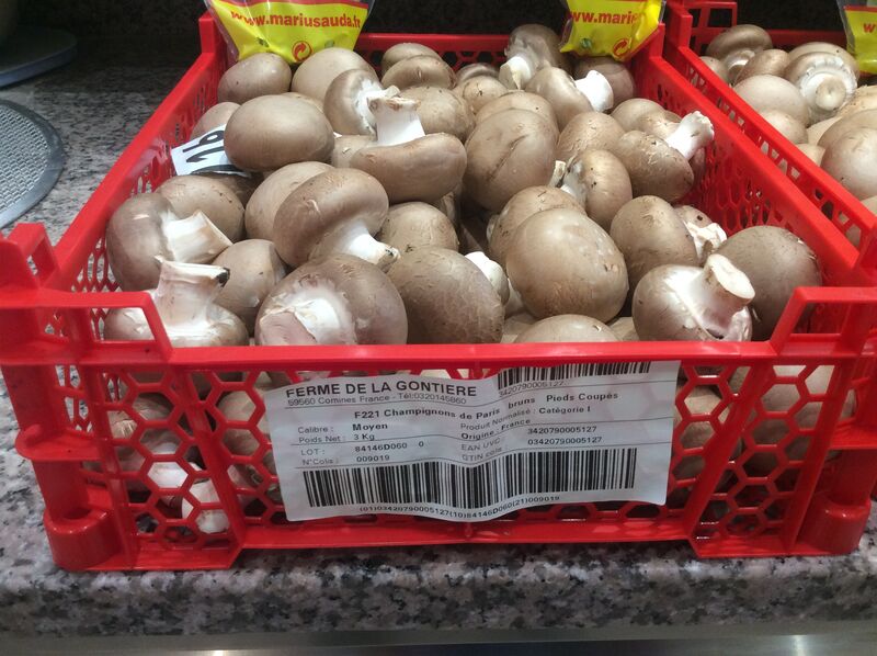 Nos Champignons 