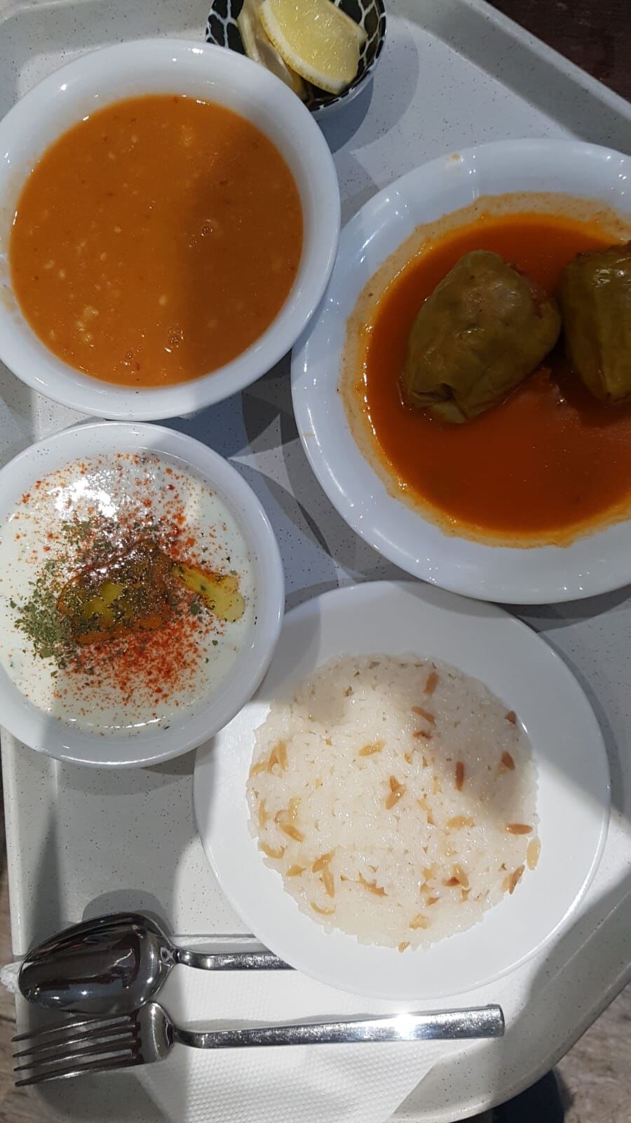 Tages Menü nach Wunsch nur 9,90 €