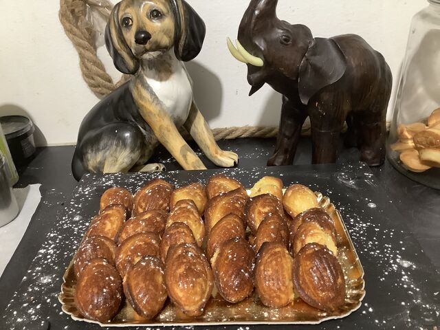 madeleines
