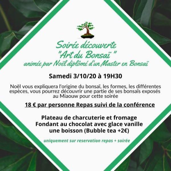 Samedi 3 octobre , soirée Bonsaï réservation sur Facebook en indiquant 