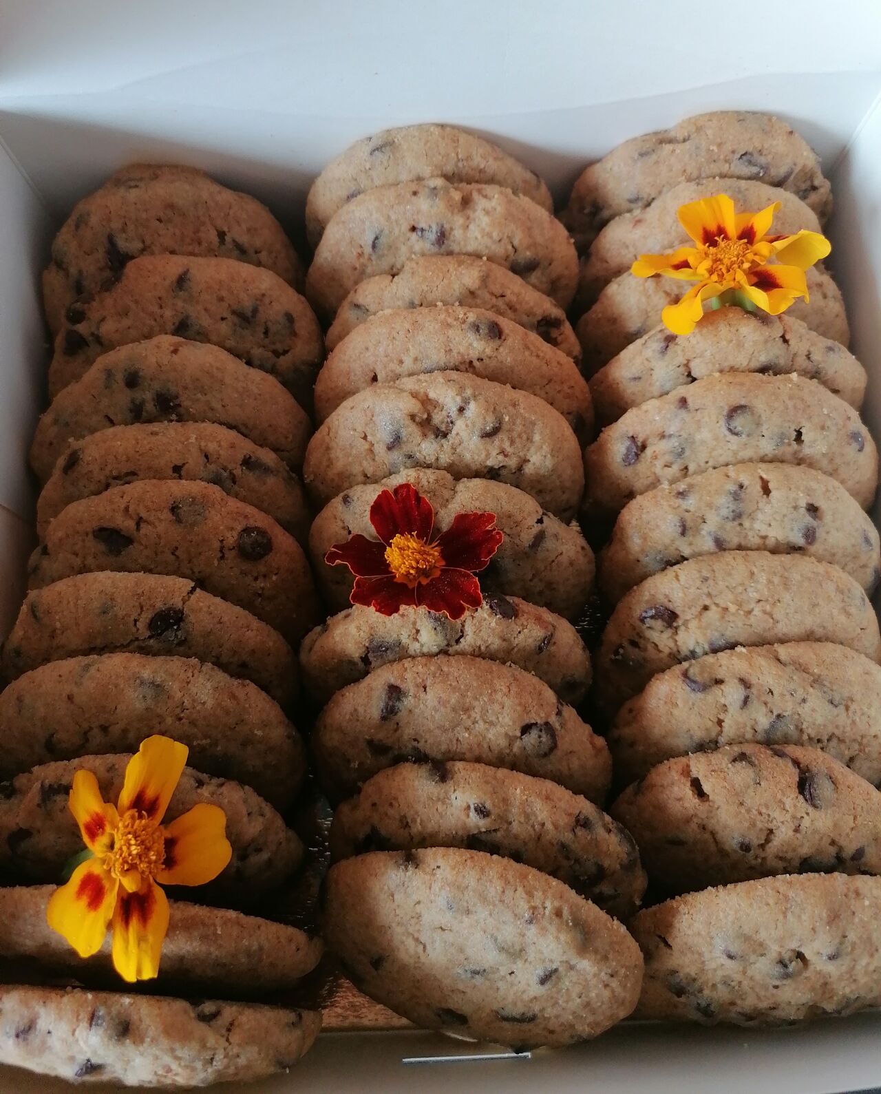 Box de cookies signature 