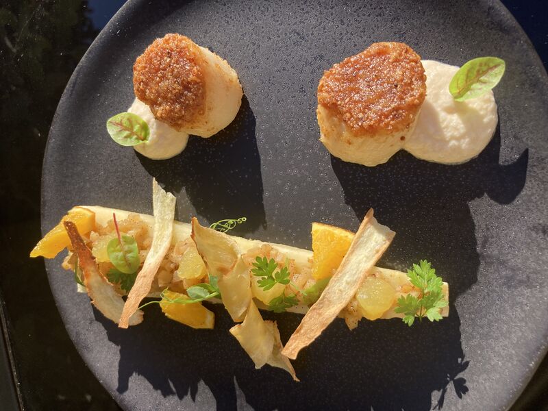 Noix Saint-Jacques, croûte de noisettes, textures panais, condiment cidre