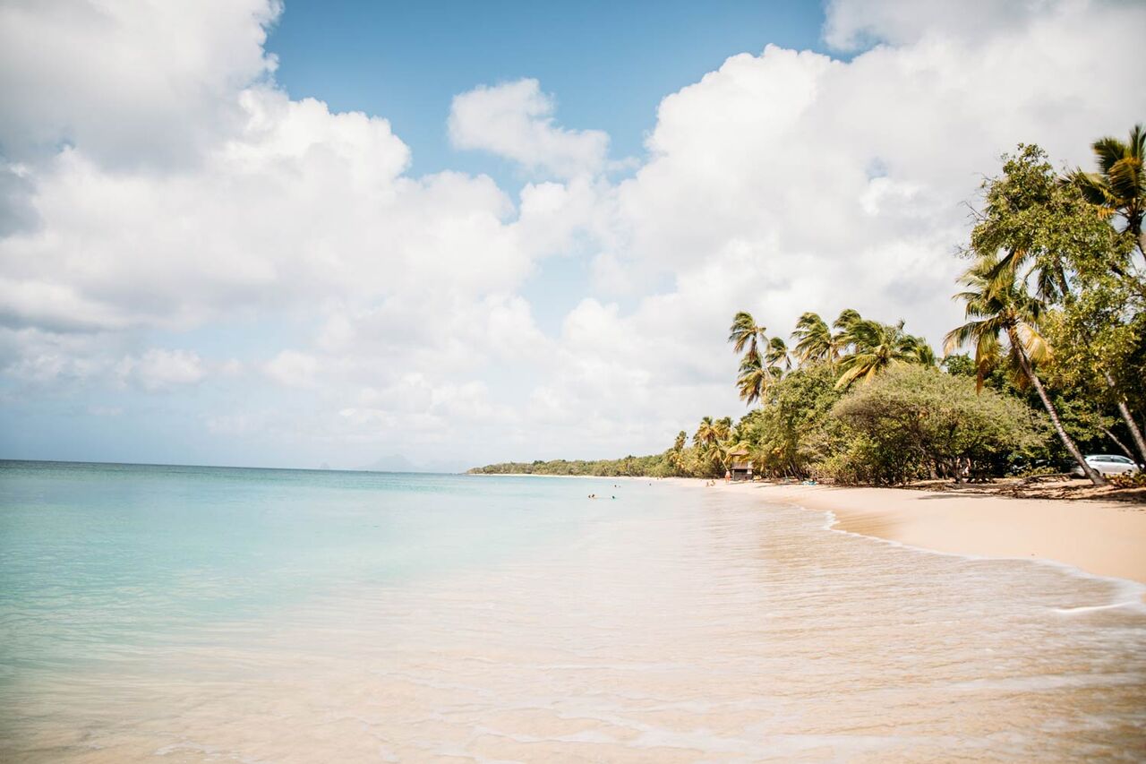 restoration ak lavant takeaway (la version créole)