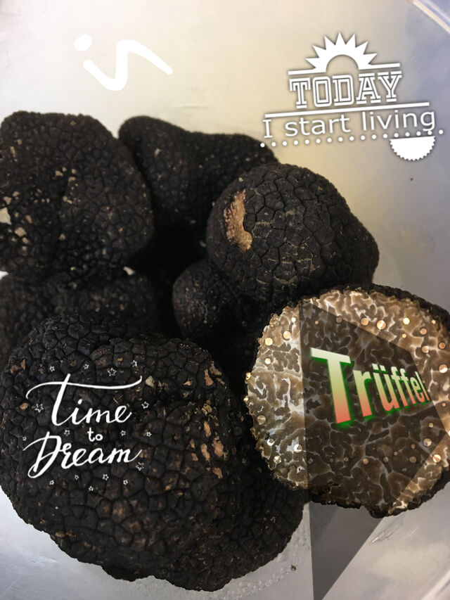 Frische schwarze Trüffel 