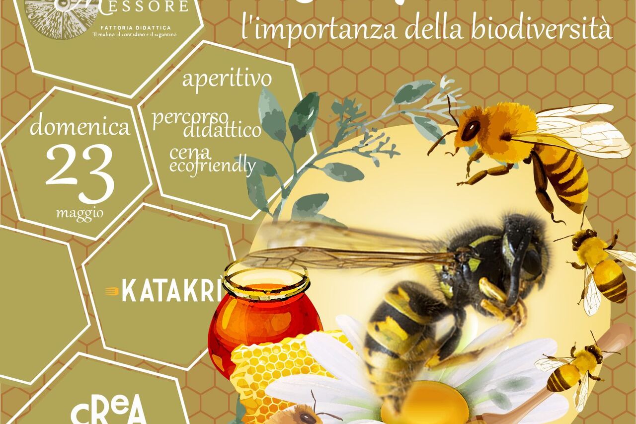Oggi, api, miele: L'importanza della biodiversità