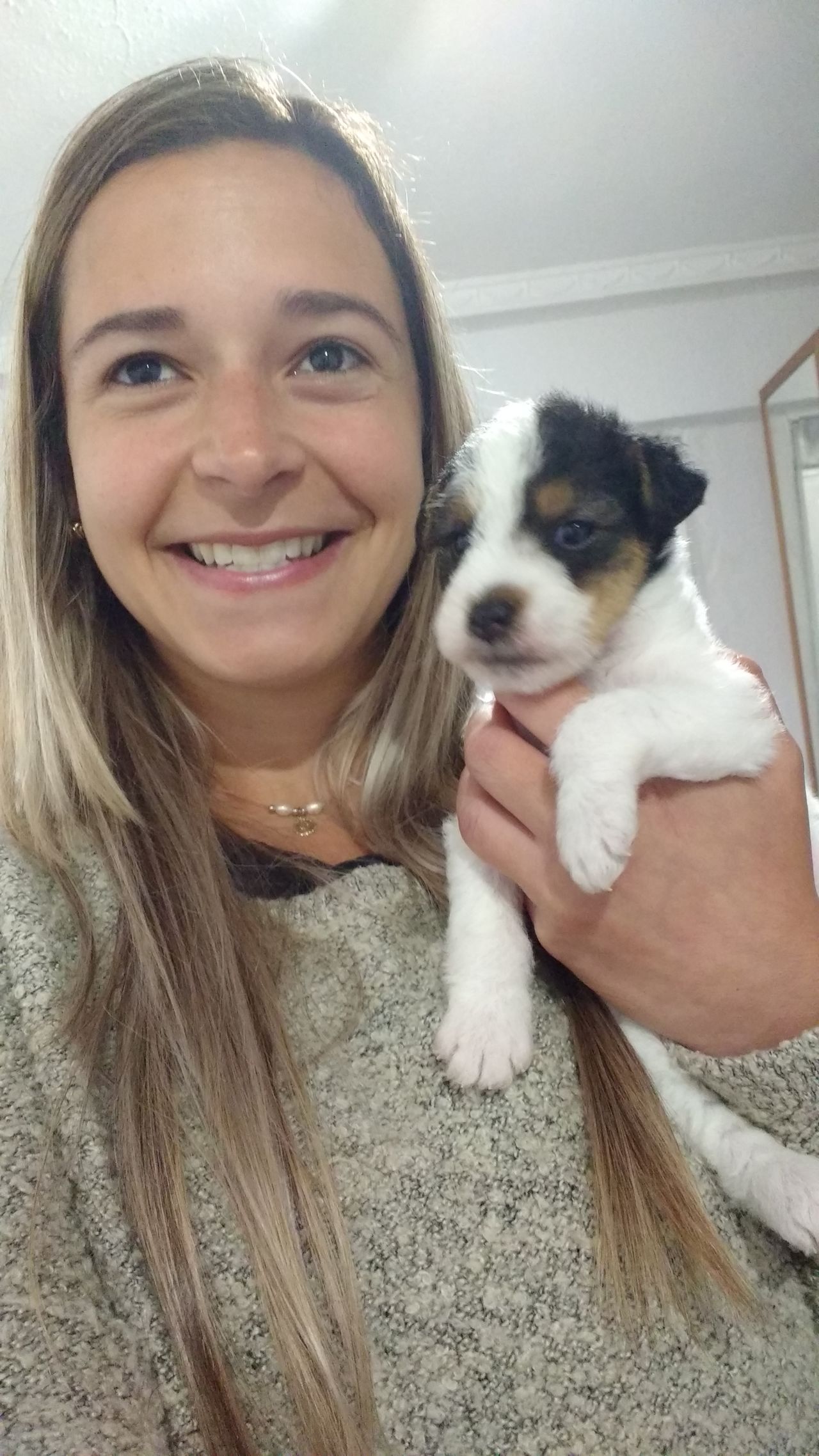 Sofía la más cachorrita 